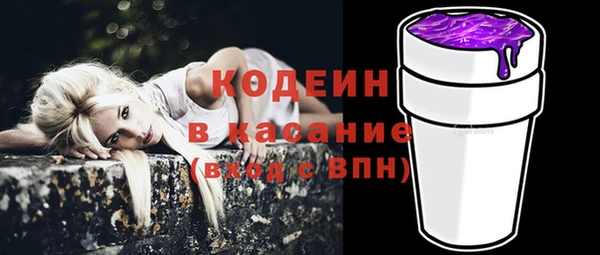хмурый Дмитров