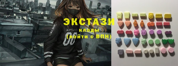 хмурый Дмитров