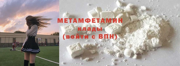 прущие грибы Усолье-Сибирское