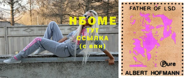 сатива Дмитровск