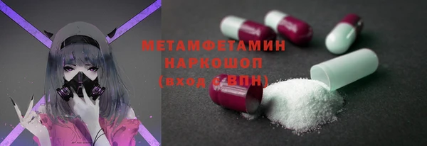 хмурый Дмитров