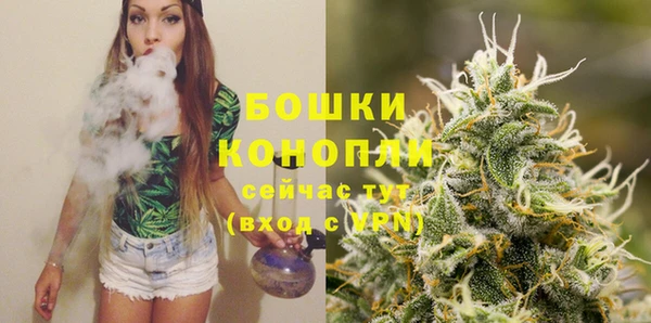 прущие грибы Усолье-Сибирское