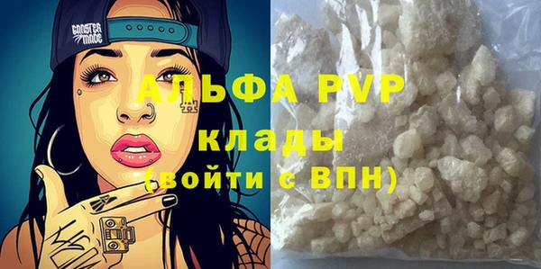 прущие грибы Усолье-Сибирское