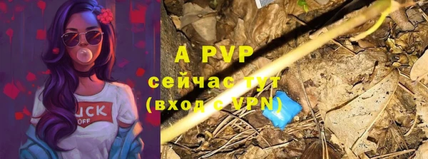 сатива Дмитровск