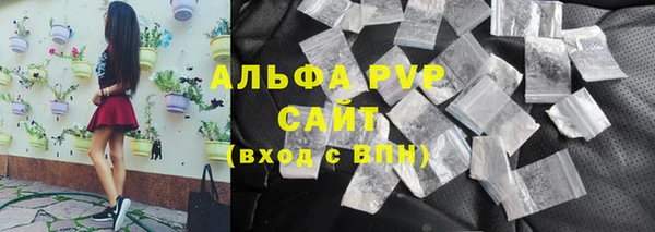 прущие грибы Усолье-Сибирское