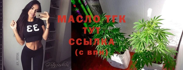 сатива Дмитровск